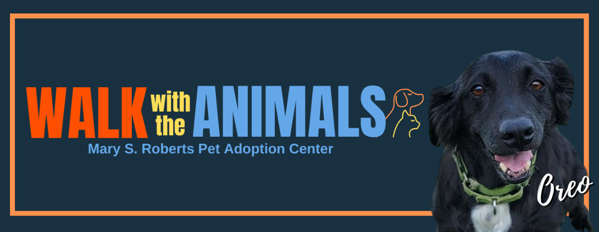 31st Annual Walk with the Animals Auction